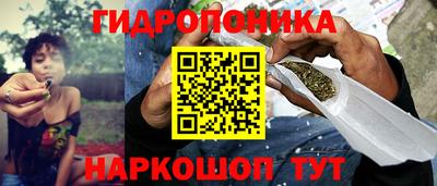 скорость Кандалакша