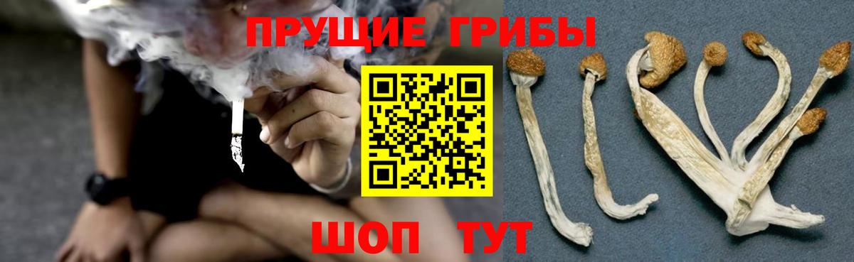 Псилоцибиновые грибы Magic Shrooms  Галлюциногенные грибы Psilocybe  Евпатория  Вход с VPN 